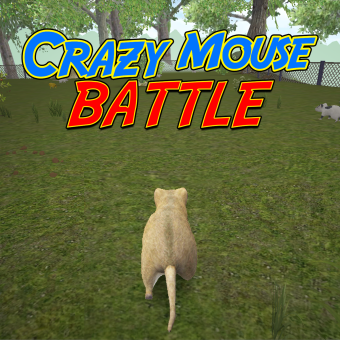 Crazy Mouse Battle