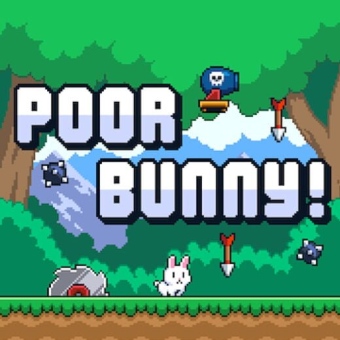 Poor Bunny