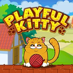 PLay Playful Kitty now!